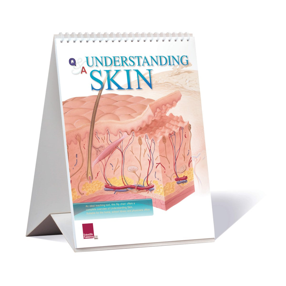 Skin Direction Chart Understanding Skin Flip Chart – THink MBC Supplies